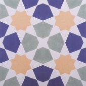 Omar Multicolour