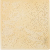 Sahara
