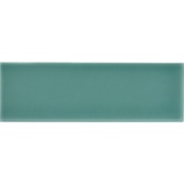 Serene Forest Green