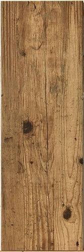 Oak Wood