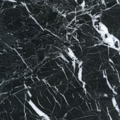 Black Veined Marble