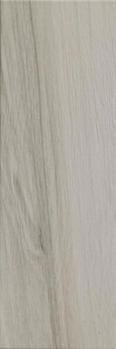 Silver Birch Tiles