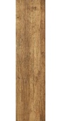 Samanea Oak Suar