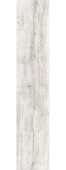 Sobremsa Silver Birch