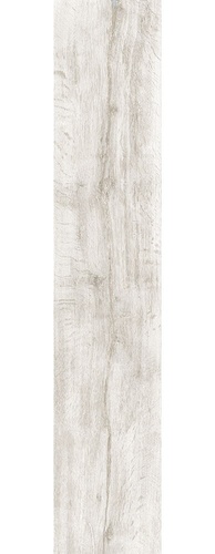 Sobremsa Silver Birch