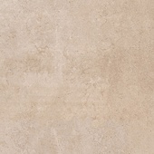 Desert Stone