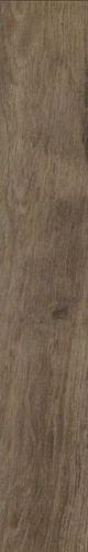 Massimina Oak