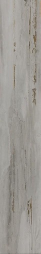 Umbra White
