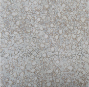 Busca Silver Flat