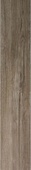 Baltimore Taupe