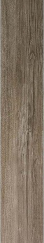 Baltimore Taupe
