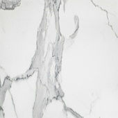 Invictus White