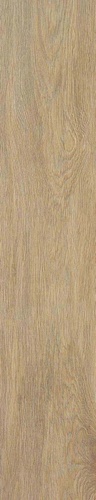 Tacora Camel