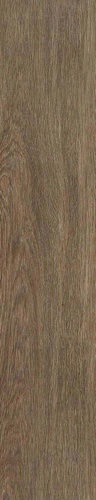 Tacora Brown