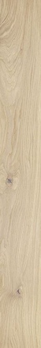 Medio Light Oak
