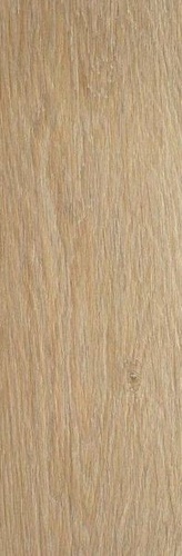 Articwood Camel