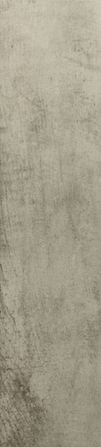 Driftwood White