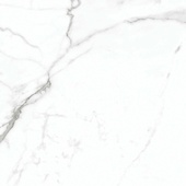 Carrera White
