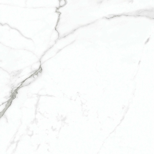 Carrera White