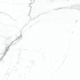 Carrera White