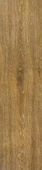 Tejos Medium Oak